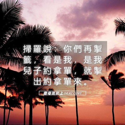 Picture 05 - 撒 母 耳 記 上 14:42 CUVT - 掃 羅 說 ： 你 們 再 掣 籤 ， 看 是 - Bible Verse Picture