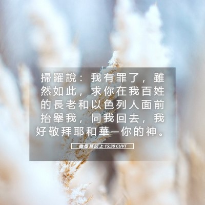 Picture 05 - 撒 母 耳 記 上 15:30 CUVT - 掃 羅 說 ： 我 有 罪 了 ， 雖 然 如 - Bible Verse Picture