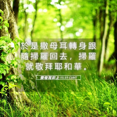 Picture 05 - 撒 母 耳 記 上 15:31 CUVT - 於 是 撒 母 耳 轉 身 跟 隨 掃 羅 回 - Bible Verse Picture