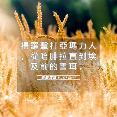 Picture 05 - 撒 母 耳 記 上 15:7 CUVT - 掃 羅 擊 打 亞 瑪 力 人 ， 從 哈 腓 - Bible Verse Picture