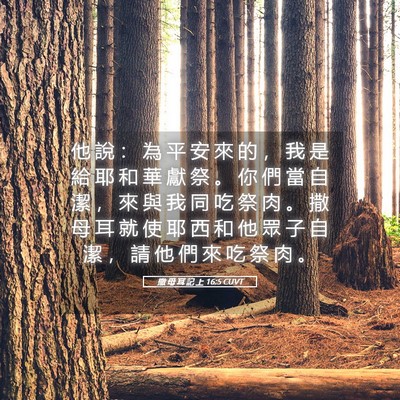 Picture 05 - 撒 母 耳 記 上 16:5 CUVT - 他 說 ： 為 平 安 來 的 ， 我 是 給 - Bible Verse Picture