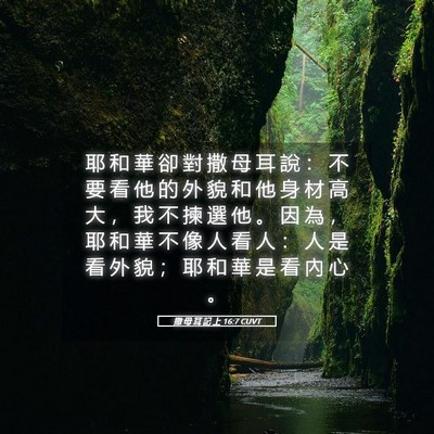 Picture 05 - 撒 母 耳 記 上 16:7 CUVT - 耶 和 華 卻 對 撒 母 耳 說 ： 不 要 - Bible Verse Picture