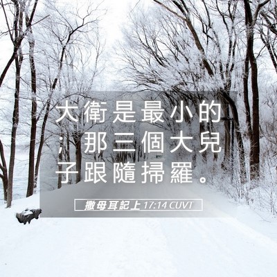 Picture 05 - 撒 母 耳 記 上 17:14 CUVT - 大 衛 是 最 小 的 ； 那 三 個 大 兒 - Bible Verse Picture