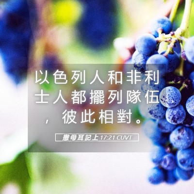 Picture 05 - 撒 母 耳 記 上 17:21 CUVT - 以 色 列 人 和 非 利 士 人 都 擺 列 - Bible Verse Picture