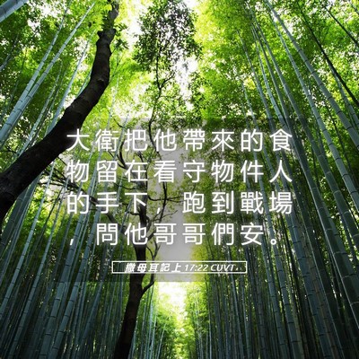 Picture 05 - 撒 母 耳 記 上 17:22 CUVT - 大 衛 把 他 帶 來 的 食 物 留 在 看 - Bible Verse Picture