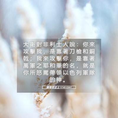 Picture 05 - 撒 母 耳 記 上 17:45 CUVT - 大 衛 對 非 利 士 人 說 ： 你 來 攻 - Bible Verse Picture