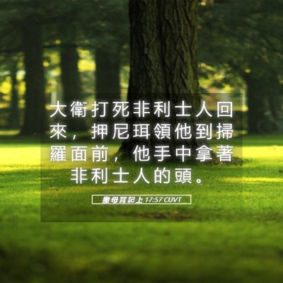 Picture 05 - 撒 母 耳 記 上 17:57 CUVT - 大 衛 打 死 非 利 士 人 回 來 ， 押 - Bible Verse Picture