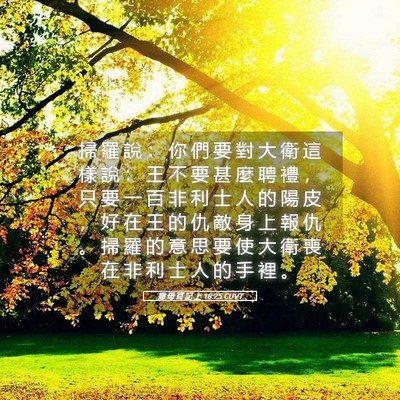 Picture 05 - 撒 母 耳 記 上 18:25 CUVT - 掃 羅 說 ： 你 們 要 對 大 衛 這 樣 - Bible Verse Picture