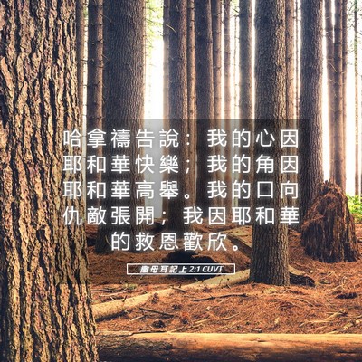 Picture 05 - 撒 母 耳 記 上 2:1 CUVT - 哈 拿 禱 告 說 ： 我 的 心 因 耶 和 - Bible Verse Picture