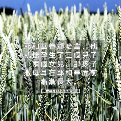 Picture 05 - 撒 母 耳 記 上 2:21 CUVT - 耶 和 華 眷 顧 哈 拿 ， 他 就 懷 孕 - Bible Verse Picture