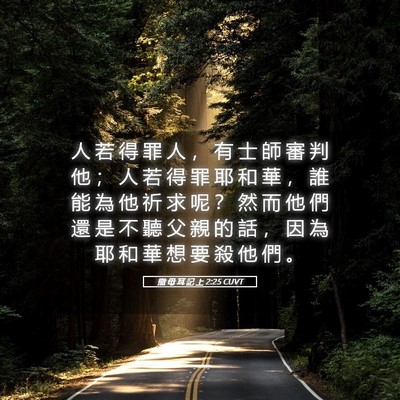 Picture 05 - 撒 母 耳 記 上 2:25 CUVT - 人 若 得 罪 人 ， 有 士 師 審 判 他 - Bible Verse Picture