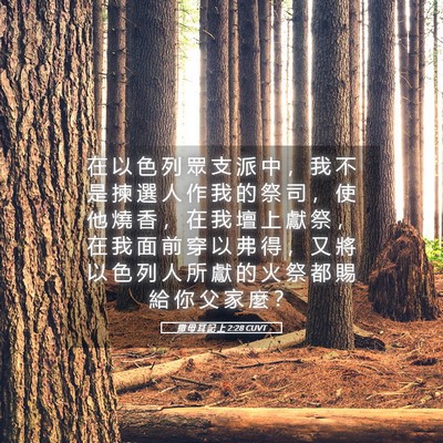 Picture 05 - 撒 母 耳 記 上 2:28 CUVT - 在 以 色 列 眾 支 派 中 ， 我 不 是 - Bible Verse Picture