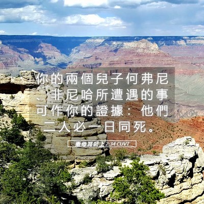 Picture 05 - 撒 母 耳 記 上 2:34 CUVT - 你 的 兩 個 兒 子 何 弗 尼 、 非 尼 - Bible Verse Picture