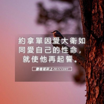Picture 05 - 撒 母 耳 記 上 20:17 CUVT - 約 拿 單 因 愛 大 衛 如 同 愛 自 己 - Bible Verse Picture