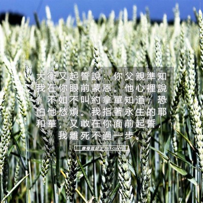 Picture 05 - 撒 母 耳 記 上 20:3 CUVT - 大 衛 又 起 誓 說 ： 你 父 親 準 知 - Bible Verse Picture