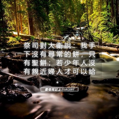 Picture 05 - 撒 母 耳 記 上 21:4 CUVT - 祭 司 對 大 衛 說 ： 我 手 下 沒 有 - Bible Verse Picture