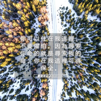 Picture 05 - 撒 母 耳 記 上 22:23 CUVT - 你 可 以 住 在 我 這 裡 ， 不 要 懼 - Bible Verse Picture