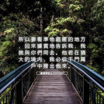 Picture 05 - 撒 母 耳 記 上 23:23 CUVT - 所 以 要 看 準 他 藏 匿 的 地 方 ， - Bible Verse Picture