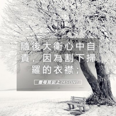 Picture 05 - 撒 母 耳 記 上 24:5 CUVT - 隨 後 大 衛 心 中 自 責 ， 因 為 割 - Bible Verse Picture