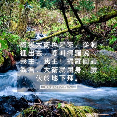 Picture 05 - 撒 母 耳 記 上 24:8 CUVT - 隨 後 大 衛 也 起 來 ， 從 洞 裡 出 - Bible Verse Picture