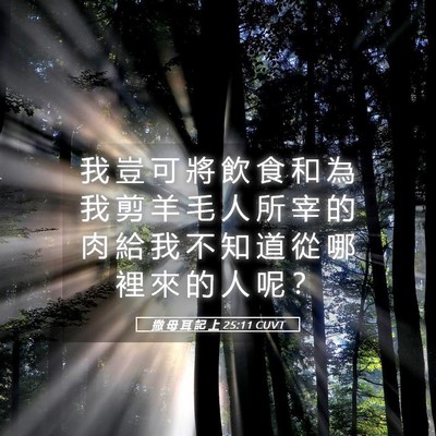 Picture 05 - 撒 母 耳 記 上 25:11 CUVT - 我 豈 可 將 飲 食 和 為 我 剪 羊 毛 - Bible Verse Picture