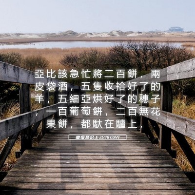 Picture 05 - 撒 母 耳 記 上 25:18 CUVT - 亞 比 該 急 忙 將 二 百 餅 ， 兩 皮 - Bible Verse Picture