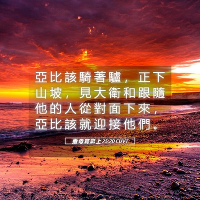 Picture 05 - 撒 母 耳 記 上 25:20 CUVT - 亞 比 該 騎 著 驢 ， 正 下 山 坡 ， - Bible Verse Picture
