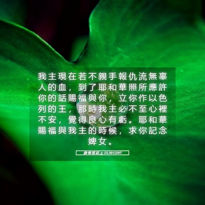 Picture 05 - 撒 母 耳 記 上 25:30 CUVT - 我 主 現 在 若 不 親 手 報 仇 流 無 - Bible Verse Picture
