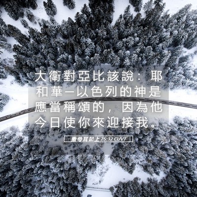 Picture 05 - 撒 母 耳 記 上 25:32 CUVT - 大 衛 對 亞 比 該 說 ： 耶 和 華 ─ - Bible Verse Picture