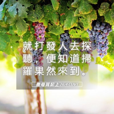 Picture 05 - 撒 母 耳 記 上 26:4 CUVT - 就 打 發 人 去 探 聽 ， 便 知 道 掃 - Bible Verse Picture