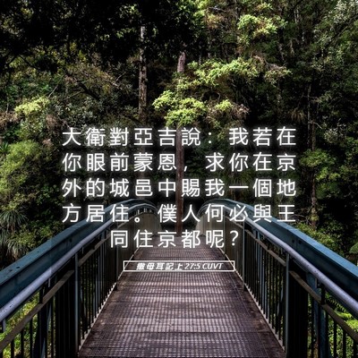 Picture 05 - 撒 母 耳 記 上 27:5 CUVT - 大 衛 對 亞 吉 說 ： 我 若 在 你 眼 - Bible Verse Picture