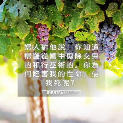 Picture 05 - 撒 母 耳 記 上 28:9 CUVT - 婦 人 對 他 說 ： 你 知 道 掃 羅 從 - Bible Verse Picture