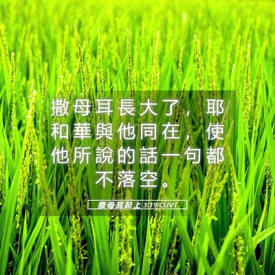 Picture 05 - 撒 母 耳 記 上 3:19 CUVT - 撒 母 耳 長 大 了 ， 耶 和 華 與 他 - Bible Verse Picture