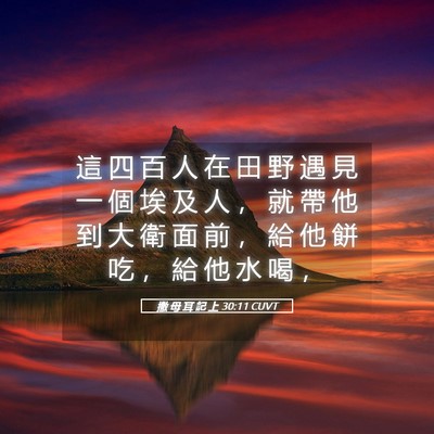 Picture 05 - 撒 母 耳 記 上 30:11 CUVT - 這 四 百 人 在 田 野 遇 見 一 個 埃 - Bible Verse Picture