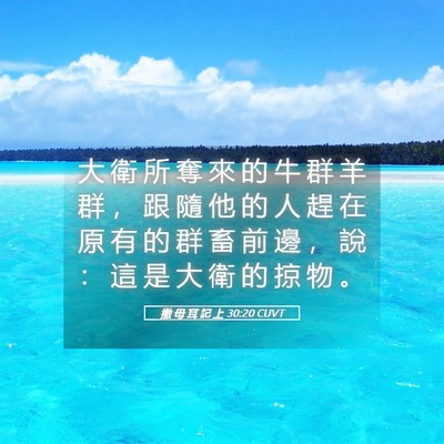 Picture 05 - 撒 母 耳 記 上 30:20 CUVT - 大 衛 所 奪 來 的 牛 群 羊 群 ， 跟 - Bible Verse Picture