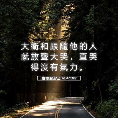 Picture 05 - 撒 母 耳 記 上 30:4 CUVT - 大 衛 和 跟 隨 他 的 人 就 放 聲 大 - Bible Verse Picture