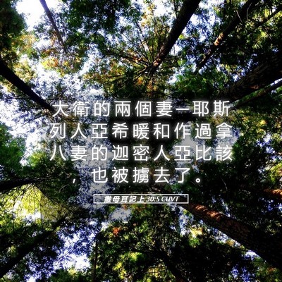 Picture 05 - 撒 母 耳 記 上 30:5 CUVT - 大 衛 的 兩 個 妻 ─ 耶 斯 列 人 亞 - Bible Verse Picture