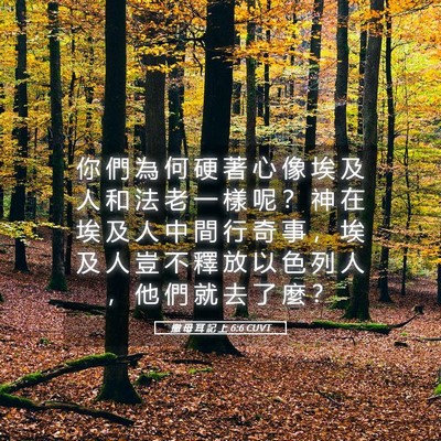 Picture 05 - 撒 母 耳 記 上 6:6 CUVT - 你 們 為 何 硬 著 心 像 埃 及 人 和 - Bible Verse Picture