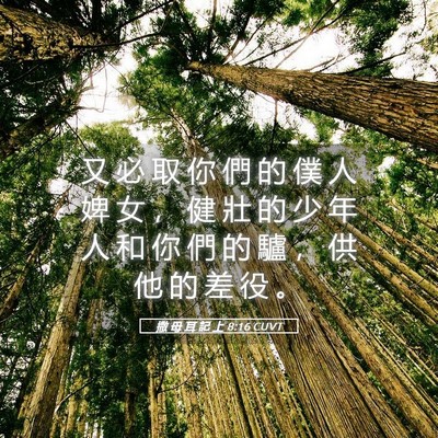 Picture 05 - 撒 母 耳 記 上 8:16 CUVT - 又 必 取 你 們 的 僕 人 婢 女 ， 健 - Bible Verse Picture