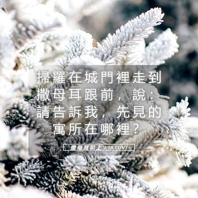 Picture 05 - 撒 母 耳 記 上 9:18 CUVT - 掃 羅 在 城 門 裡 走 到 撒 母 耳 跟 - Bible Verse Picture