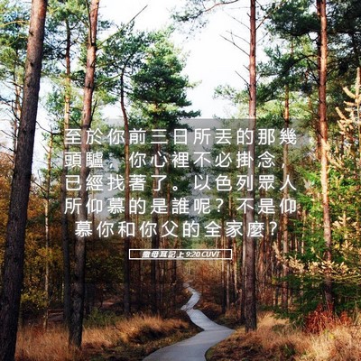 Picture 05 - 撒 母 耳 記 上 9:20 CUVT - 至 於 你 前 三 日 所 丟 的 那 幾 頭 - Bible Verse Picture