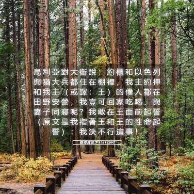 Picture 05 - 撒 母 耳 記 下 11:11 CUVT - 烏 利 亞 對 大 衛 說 ： 約 櫃 和 以 - Bible Verse Picture