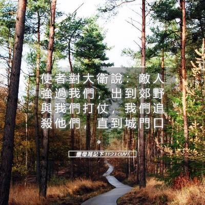 Picture 05 - 撒 母 耳 記 下 11:23 CUVT - 使 者 對 大 衛 說 ： 敵 人 強 過 我 - Bible Verse Picture