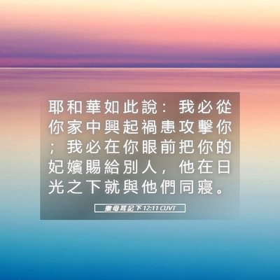 Picture 05 - 撒 母 耳 記 下 12:11 CUVT - 耶 和 華 如 此 說 ： 我 必 從 你 家 - Bible Verse Picture