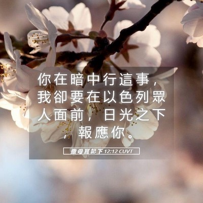 Picture 05 - 撒 母 耳 記 下 12:12 CUVT - 你 在 暗 中 行 這 事 ， 我 卻 要 在 - Bible Verse Picture
