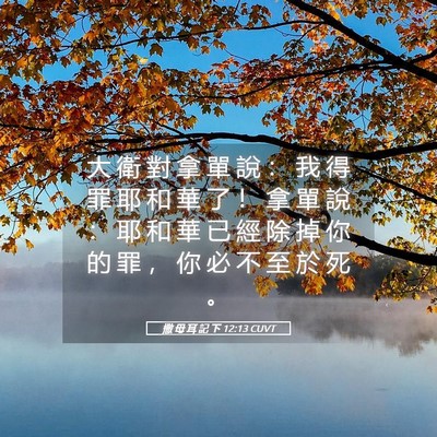 Picture 05 - 撒 母 耳 記 下 12:13 CUVT - 大 衛 對 拿 單 說 ： 我 得 罪 耶 和 - Bible Verse Picture