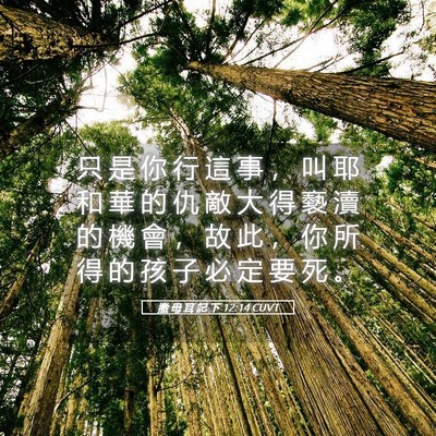 Picture 05 - 撒 母 耳 記 下 12:14 CUVT - 只 是 你 行 這 事 ， 叫 耶 和 華 的 - Bible Verse Picture