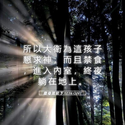 Picture 05 - 撒 母 耳 記 下 12:16 CUVT - 所 以 大 衛 為 這 孩 子 懇 求 神 ， - Bible Verse Picture