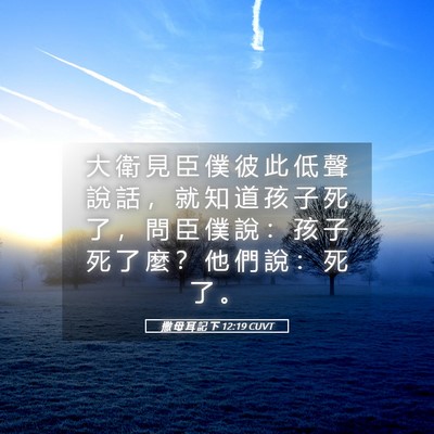 Picture 05 - 撒 母 耳 記 下 12:19 CUVT - 大 衛 見 臣 僕 彼 此 低 聲 說 話 ， - Bible Verse Picture