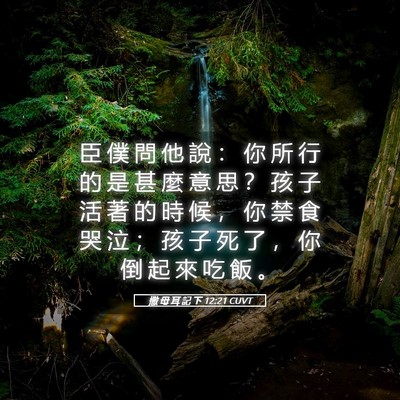 Picture 05 - 撒 母 耳 記 下 12:21 CUVT - 臣 僕 問 他 說 ： 你 所 行 的 是 甚 - Bible Verse Picture